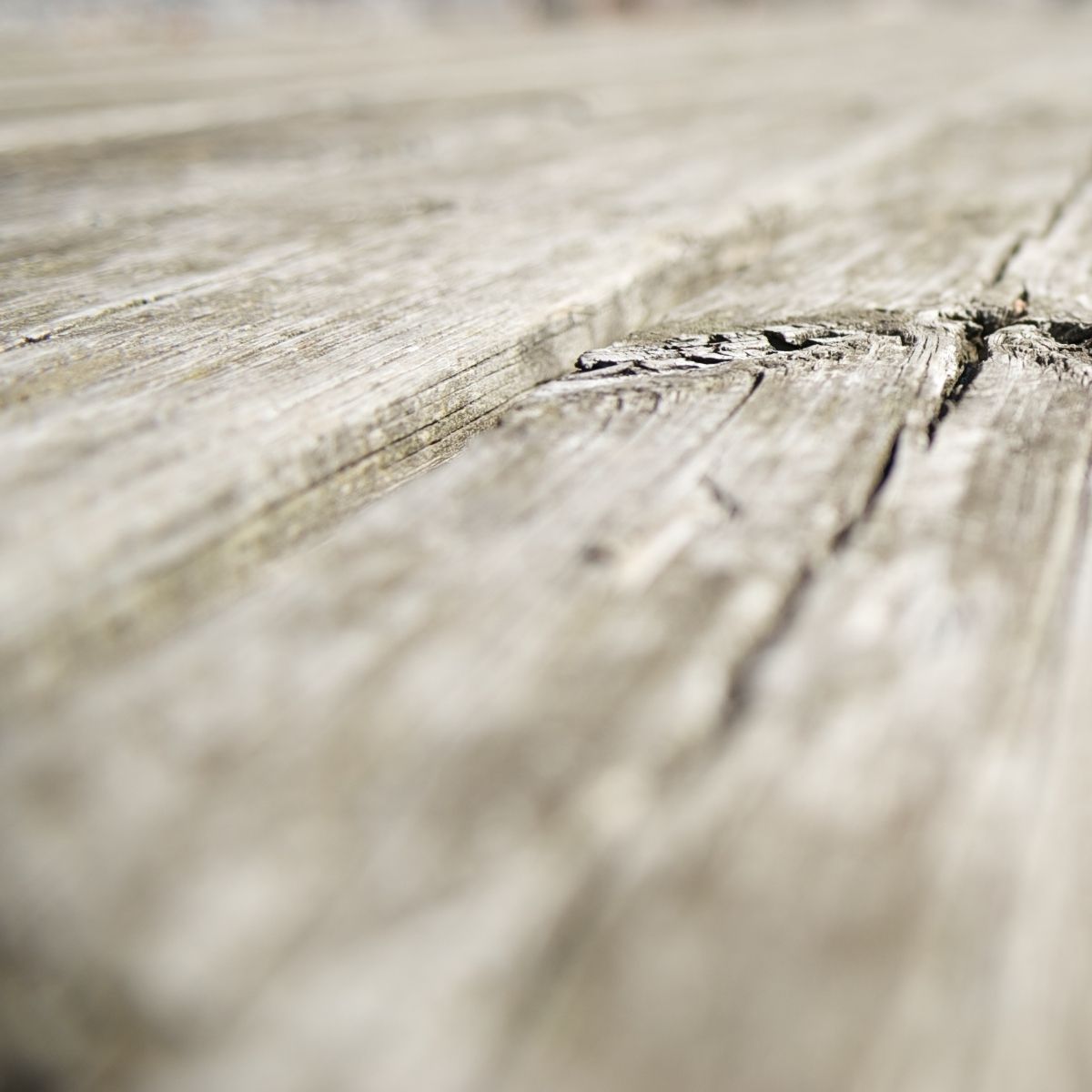 Laituri järvelle kuvaamassa yhteisen suunnan löytämistä organisaatiossa